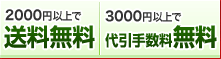 2000円以上で送料無料　3000円以上で代引手数料無料