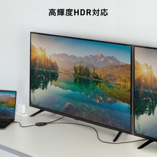 USB Type-C HDMI変換アダプタ 2画面 4K/60Hz HDR対応 PD100W ケーブル長20cm ブラック