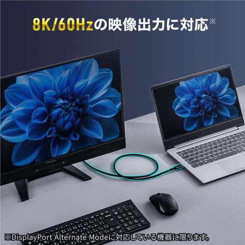 【アウトレット】USB Type-Cケーブル USB PD100W対応 電力表示機能付き 1.5m USB 20Gbps 8K/60Hz対応 シリコンケーブル