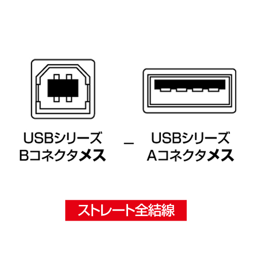 USBアダプタ(Bコネクタ メス - Aコネクタ メス)