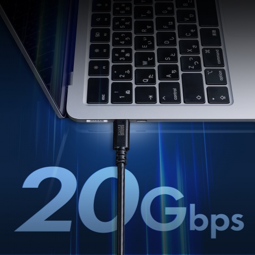 【アウトレット】産業用 USB Type-Cケーブル 1m USB 20Gbps USB PD 240W対応 抜け止め デュアルスクリューロック