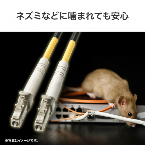 防水ロバスト光ファイバケーブル OM3 10GBASE-SR/SW規格 10Gbps マルチモード 50μm 4芯 両端LC×4 PBTチューブ 10m