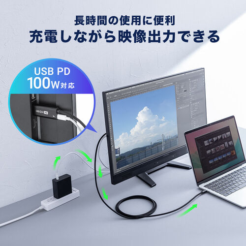 USB Type-C HDMI変換ケーブル 2m 8K/30Hz 4K/60Hz USB PD100W対応 ブラック