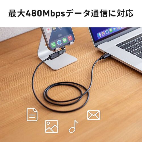 USB-C変換アダプタ 540°回転 USB PD 240W USB2.0 ガンメタリック
