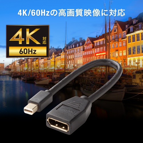 Mini DisplayPort変換アダプタ 15cm 4K/60Hz対応 DisplayPortに変換