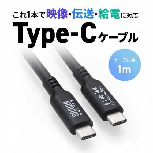 USB Type-Cケーブル 1m 10Gbps USB PD 100W 4K/60Hz対応 ブラック