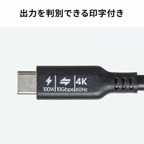 USB Type-Cケーブル 1m 10Gbps USB PD 100W 4K/60Hz対応 ブラック