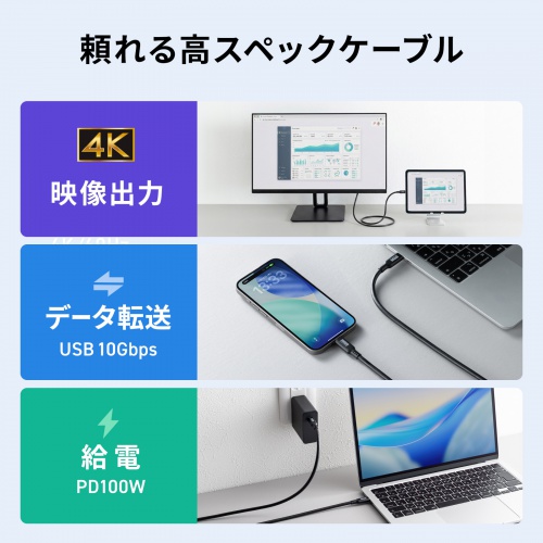USB Type-Cケーブル 2m 10Gbps USB PD 100W 4K/60Hz対応 ブラック