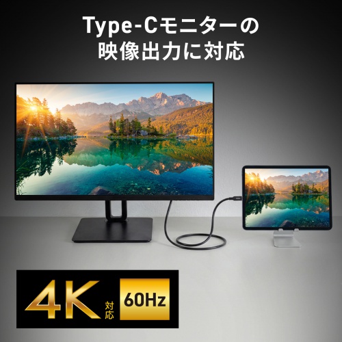 USB Type-Cケーブル 2m 10Gbps USB PD 100W 4K/60Hz対応 ブラック