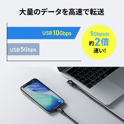 USB Type-Cケーブル 2m 10Gbps USB PD 100W 4K/60Hz対応 ブラック