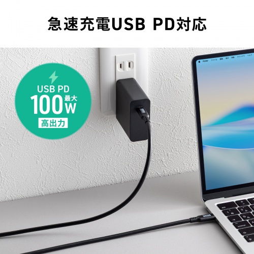 USB Type-Cケーブル 2m 10Gbps USB PD 100W 4K/60Hz対応 ブラック
