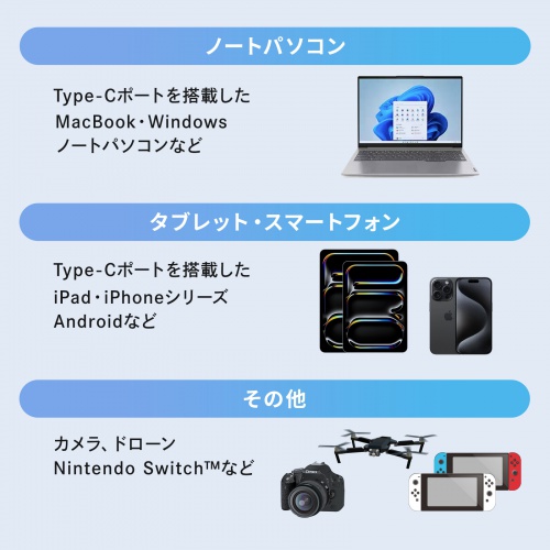 USB Type-Cケーブル 2m 10Gbps USB PD 100W 4K/60Hz対応 ブラック