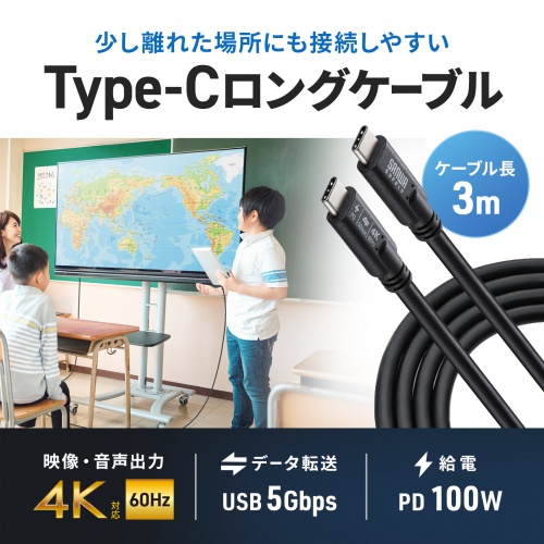 USB Type-Cケーブル 3m USB 5Gbps PD100W 4K/60Hz映像出力 ブラック