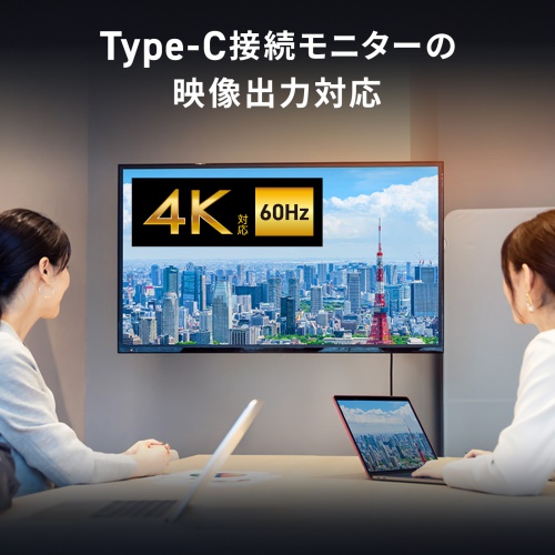 USB Type-Cケーブル 3m USB 5Gbps PD100W 4K/60Hz映像出力 ブラック