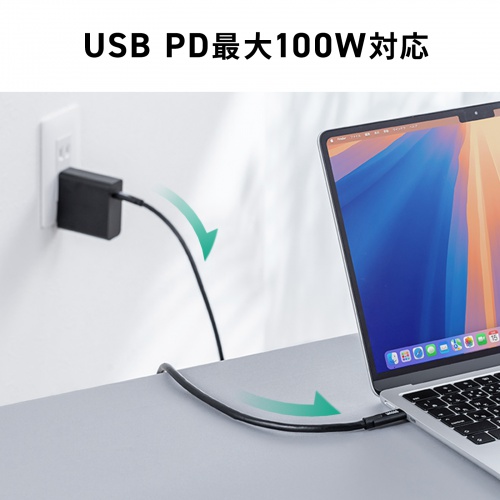 USB Type-Cケーブル 3m USB 5Gbps PD100W 4K/60Hz映像出力 ブラック