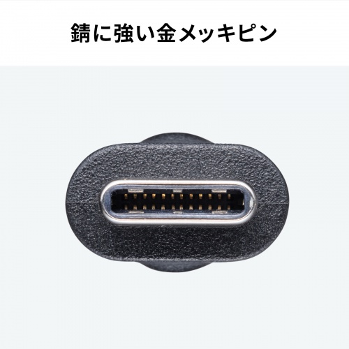 USB Type-Cケーブル 3m USB 5Gbps PD100W 4K/60Hz映像出力 ブラック