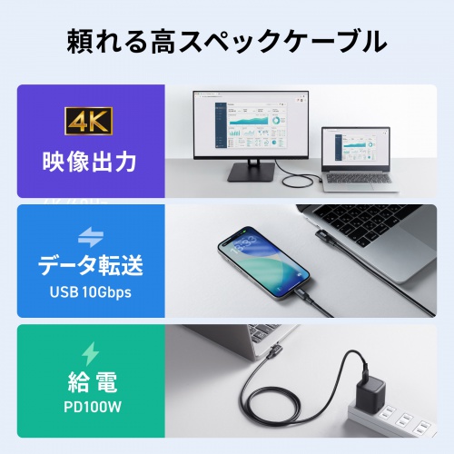 USB Type-Cケーブル 1m 10Gbps USB PD 100W L字コネクタ 4K/60Hz映像出力 ブラック