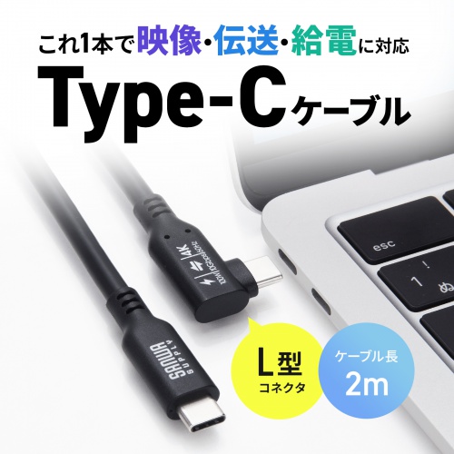 USB Type-Cケーブル 2m 10Gbps PD100W 映像出力対応 片側L型コネクタ