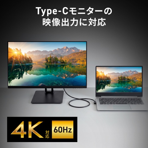 USB Type-Cケーブル 2m 10Gbps PD100W 映像出力対応 片側L型コネクタ