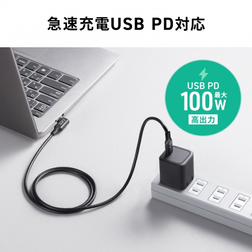USB Type-Cケーブル 2m 10Gbps PD100W 映像出力対応 片側L型コネクタ