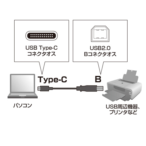 【アウトレット】USB2.0 Type C-Bケーブル(ブラック・3m)
