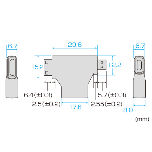 HDMI変換アダプタ ミニHDMI マイクロHDMI ブラック