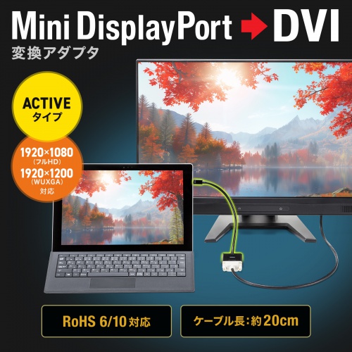 Mini DisplayPort-DVI 変換アダプタ 20cm アクティブタイプ