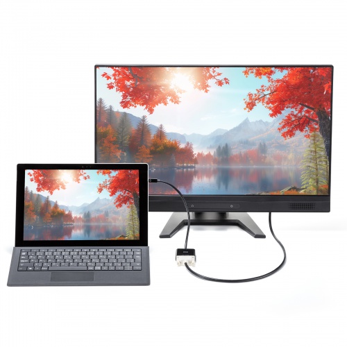 Mini DisplayPort-DVI 変換アダプタ 20cm アクティブタイプ