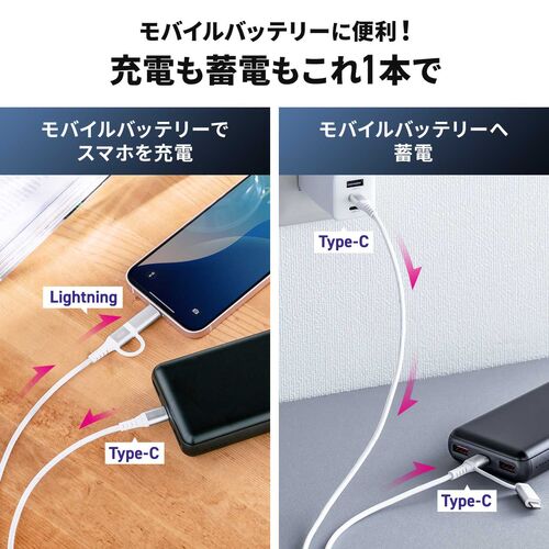 USB Type-C Lightning 2in1 USBケーブル 1m USB PD60W対応 MFi認証品