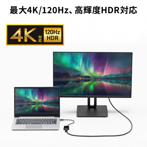 USB Type-C - DisplayPort 変換アダプタ 4K/120Hz HDR対応 ケーブル長20cm ブラック