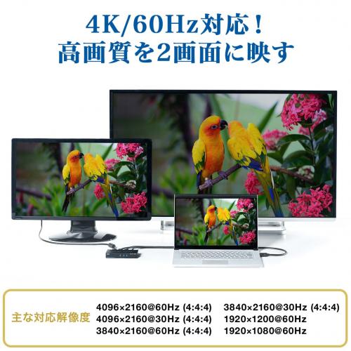 【アウトレット】HDMI分配器(1入力2出力スプリッター・4K/60Hz対応・HDCP2.2対応)