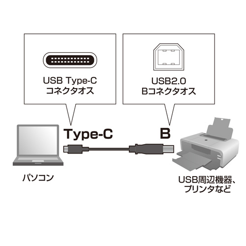 USB2.0 Type C-Bケーブル(ブラック・1m)