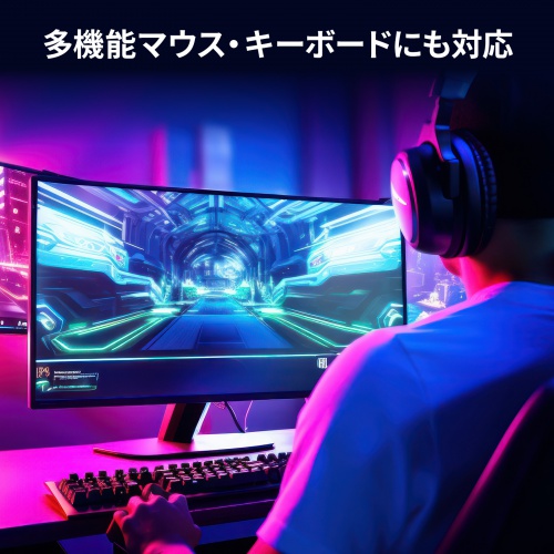DisplayPort対応 パソコン自動切替器 2:1 4K/60Hz エミュレーション非搭載 マウス キーボード