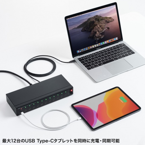 USB Type-C 12ポートハブ USB2.0 セルフパワー エコモード搭載 同期 デイジーチェーン 充電 約1.8m スマホ タブレット ブラック