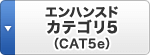 エンハンスドカテゴリ5（CAT5e）