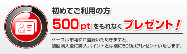 初めてご利用の方500ポイントをもれなくプレゼント！